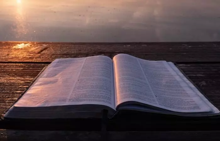 Daily Bible Readings For November 2021